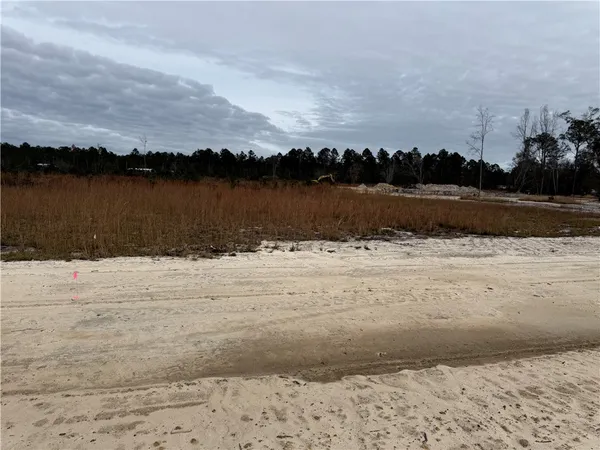 $27,500 | Lot 6 Wiregrass Lane, Unit 6, Waycross, GA 31503