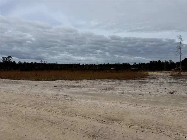 $27,500 | Lot 6 Wiregrass Lane, Unit 6, Waycross, GA 31503