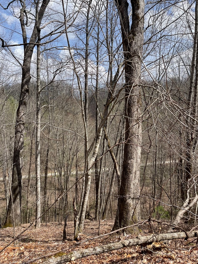 0 Hidden Lakes Road Topton, NC 28781 - Photo 10 of 14