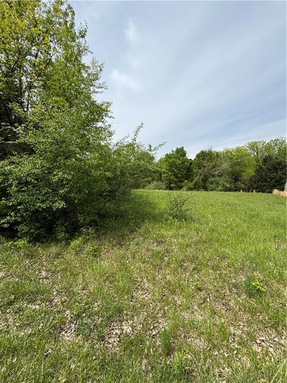 2328 Oar Road Gallatin, MO 64640 - Photo 3 of 3