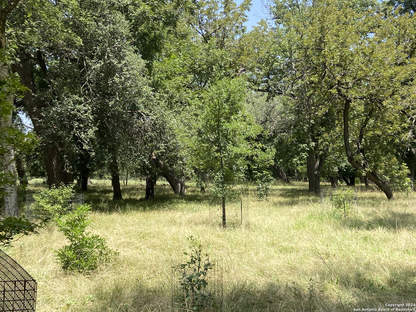 412 Lebouf Road Utopia, TX 78884 - Photo 22 of 42 a backyard of a house with lots of green space