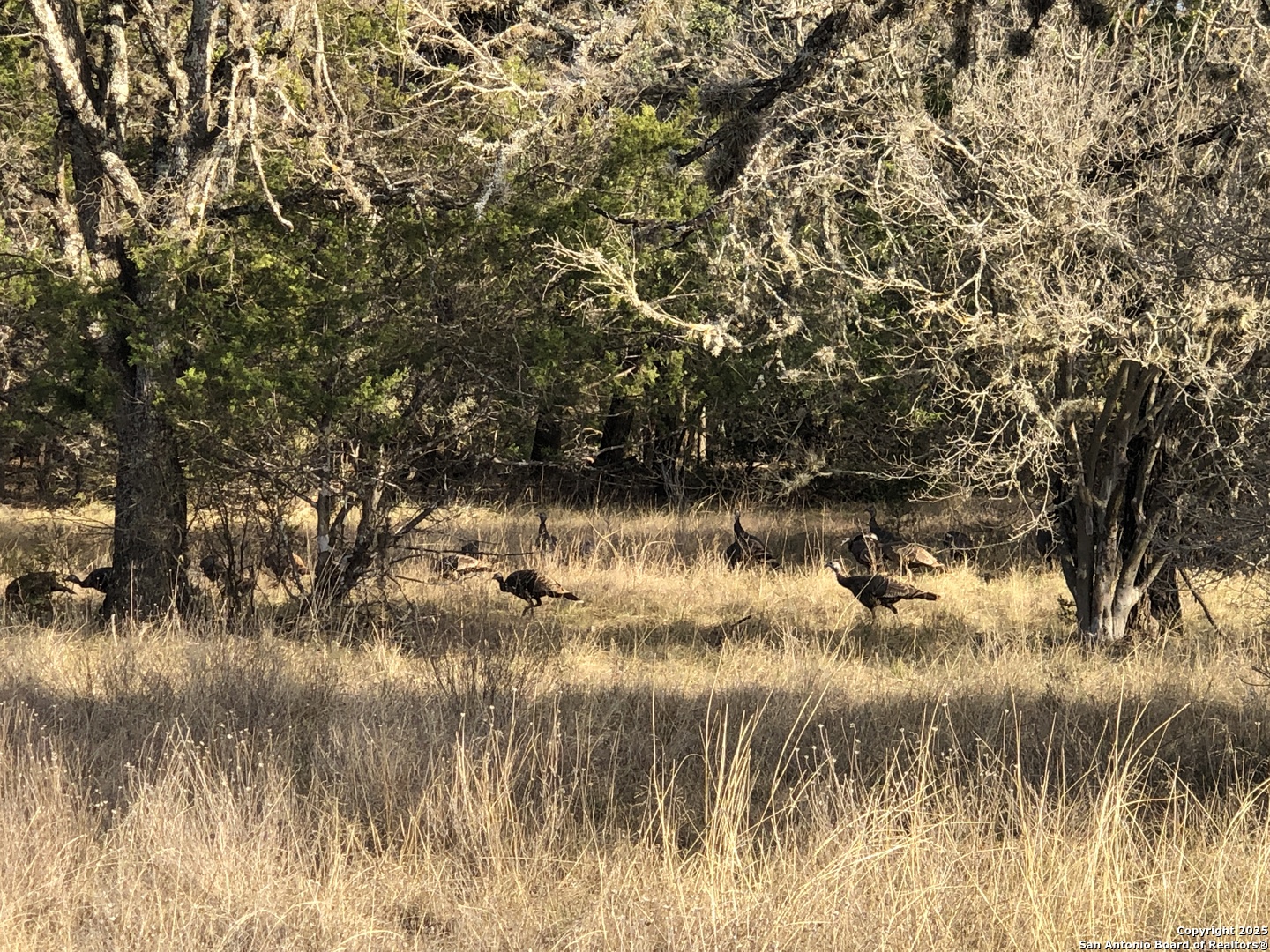 412 Lebouf Road Utopia, TX 78884 - Photo 23 of 42 a view of lake