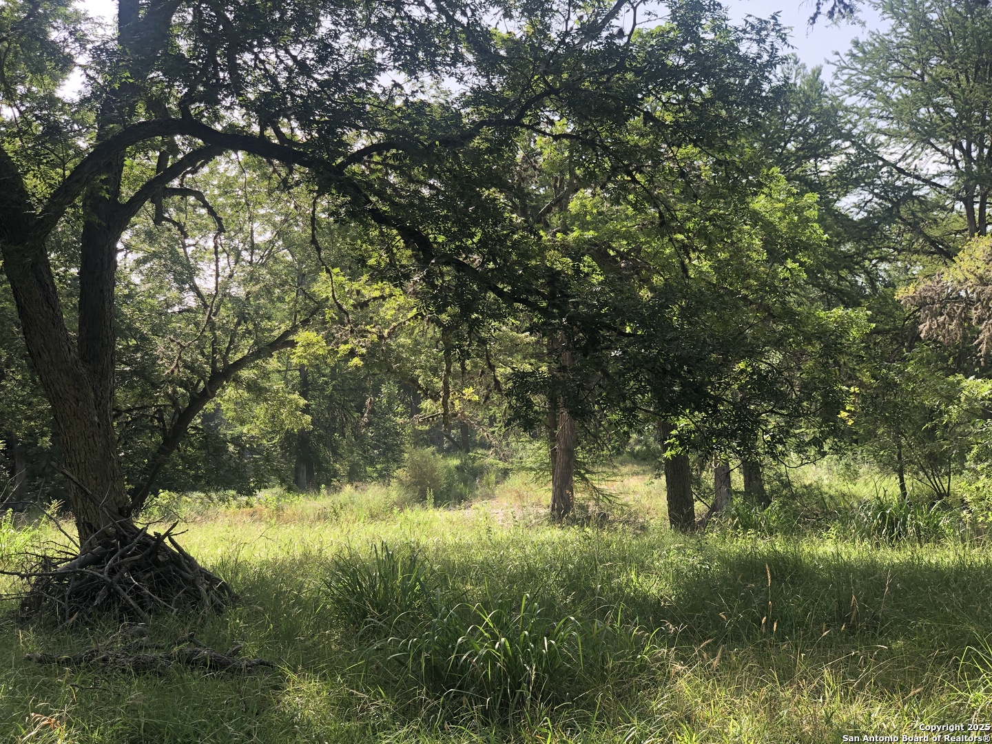 412 Lebouf Road Utopia, TX 78884 - Photo 29 of 42 a view of yard