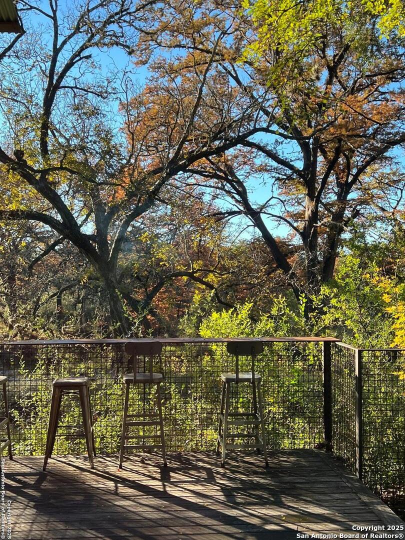 412 Lebouf Road Utopia, TX 78884 - Photo 30 of 42