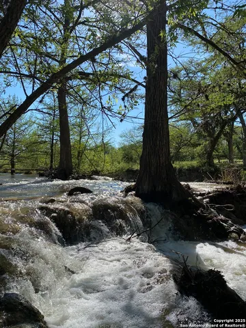 a view of a backyard with large trees