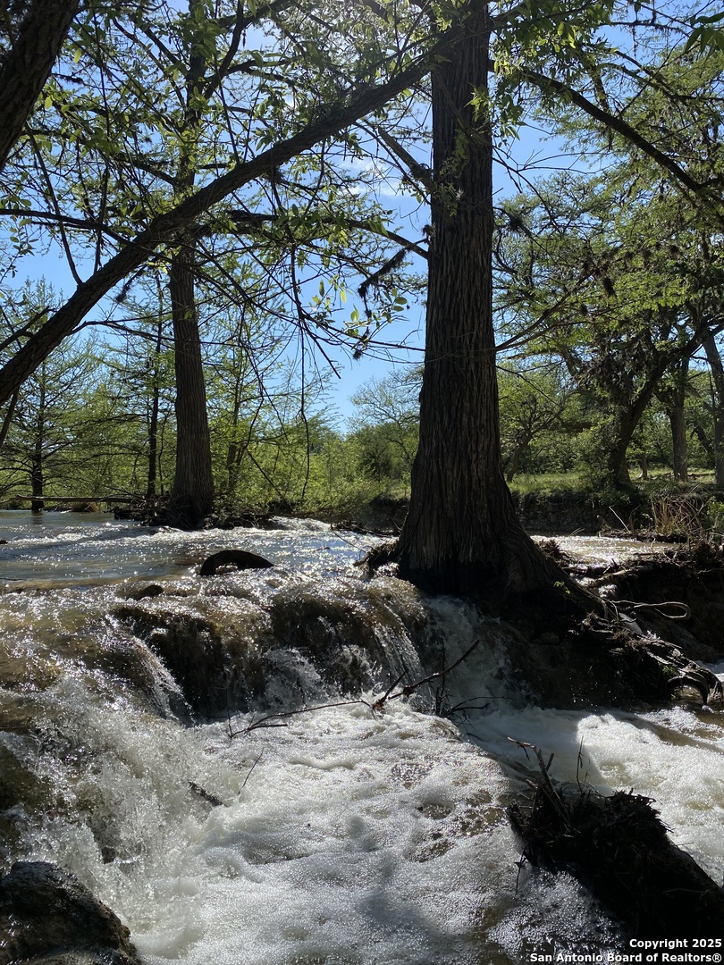 412 Lebouf Road Utopia, TX 78884 - Photo 3 of 42 a view of a backyard with large trees