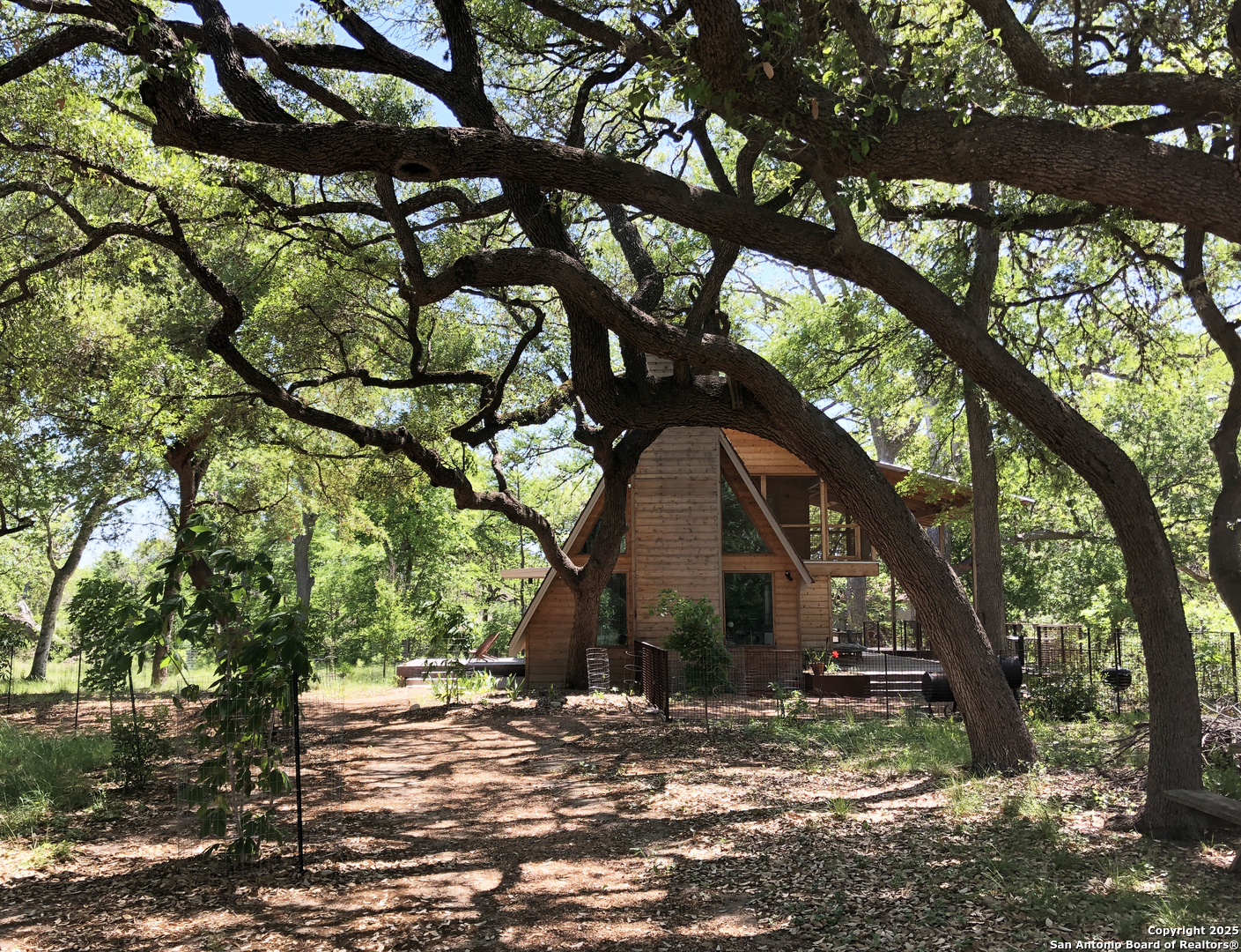 412 Lebouf Road Utopia, TX 78884 - Photo 32 of 42 a view of a yard with a tree