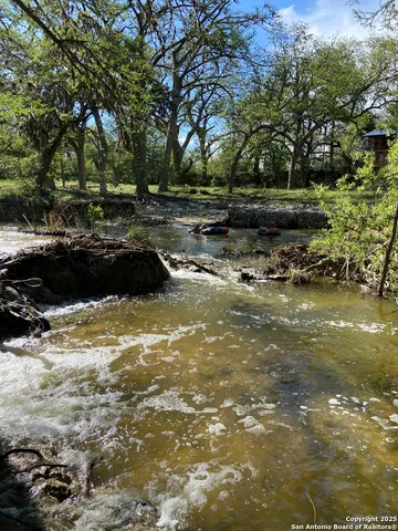 a view of a yard with plants and a bench