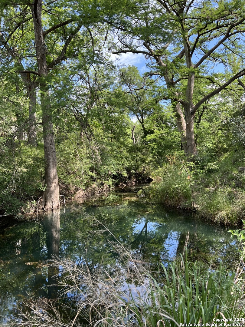 412 Lebouf Road Utopia, TX 78884 - Photo 40 of 42 a backyard of a house with a yard with plants and large trees