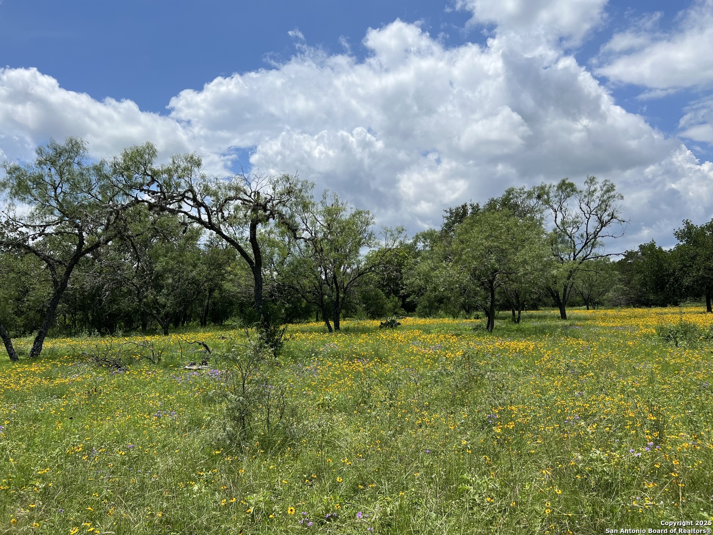 412 Lebouf Road Utopia, TX 78884 - Photo 7 of 42 a view of outdoor space with deck and trees