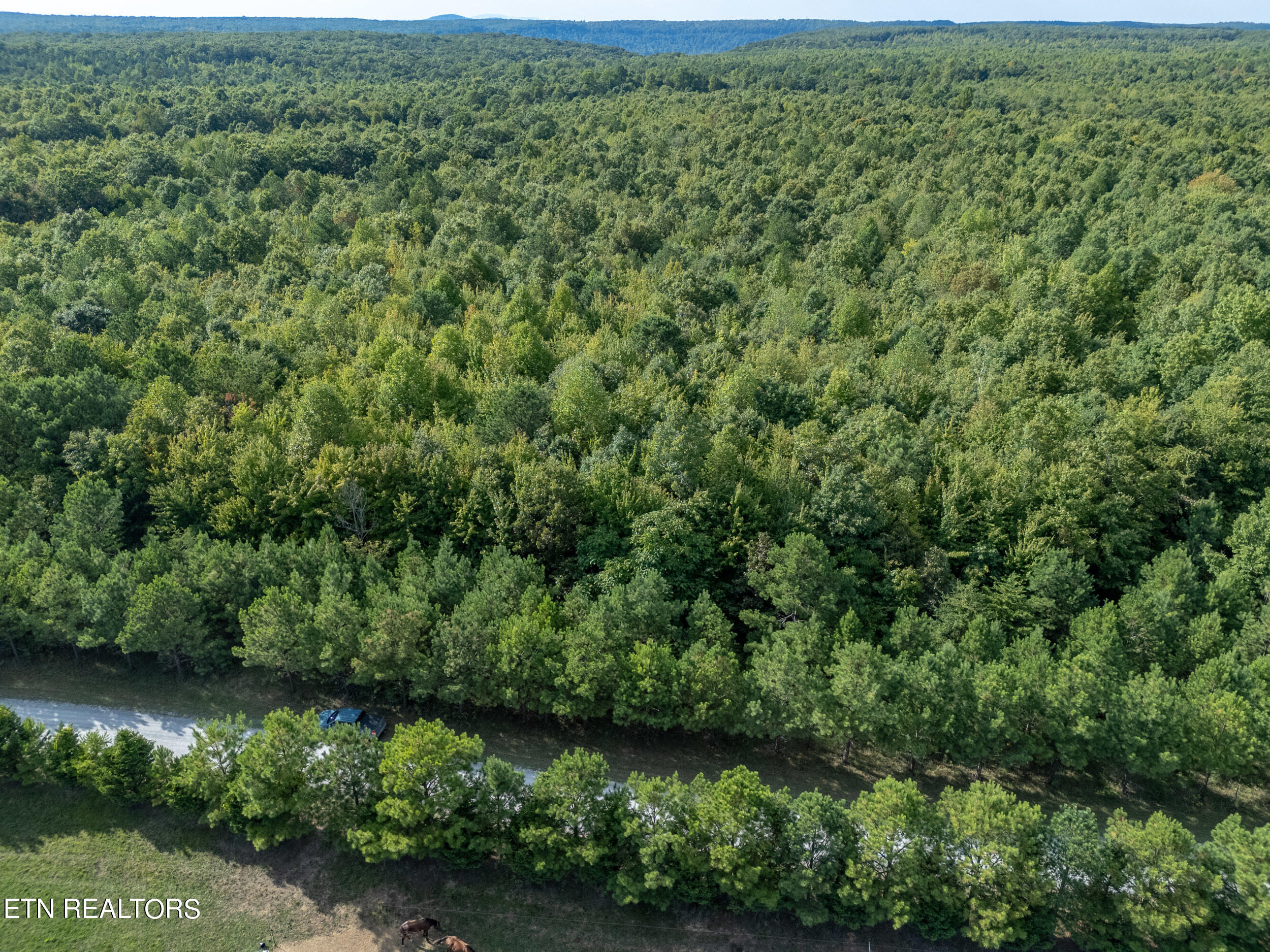 .97-ac Harper Road Rock Island, TN 38581 - Photo 15 of 16 mls-1