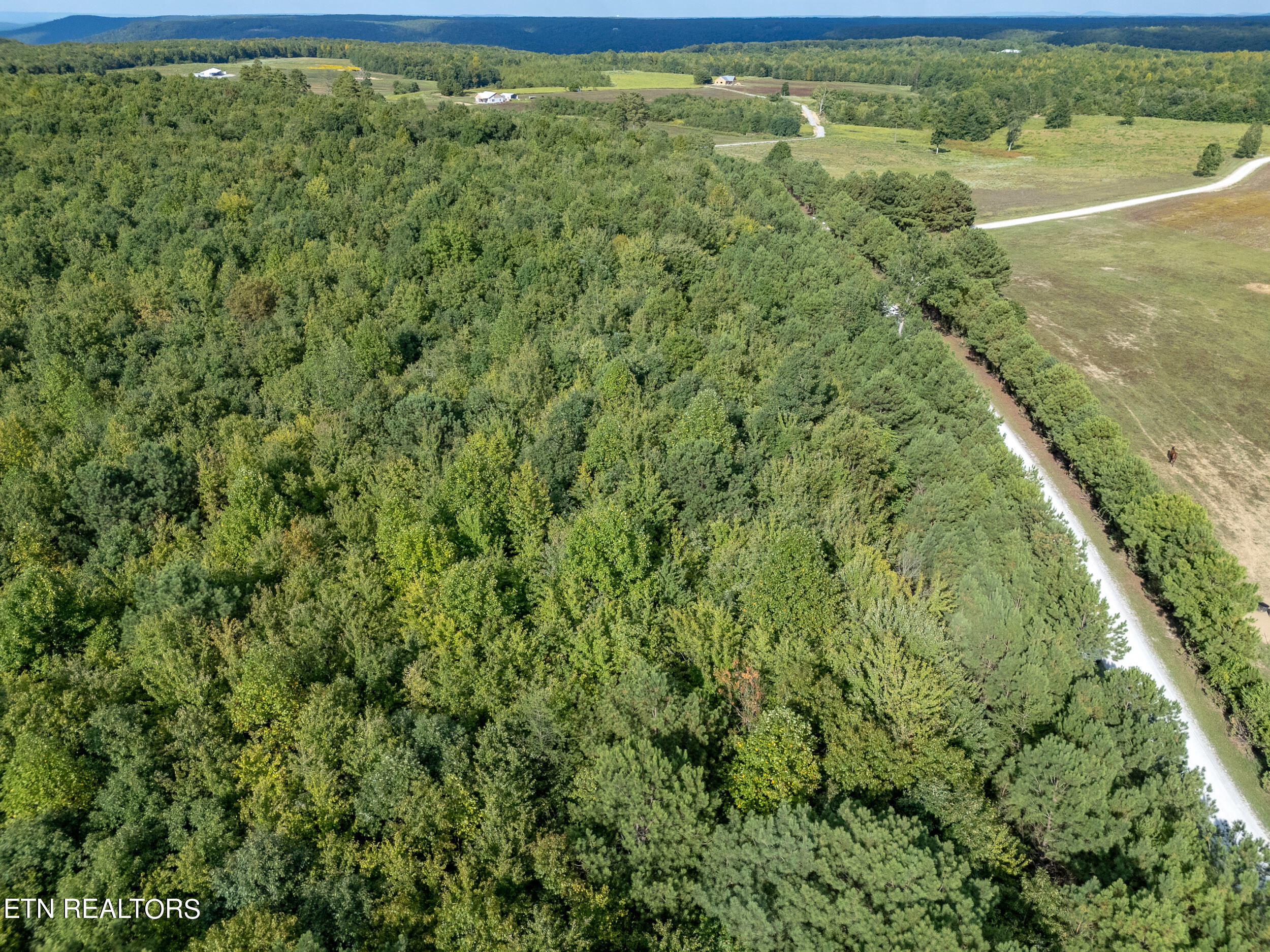 .97-ac Harper Road Rock Island, TN 38581 - Photo 6 of 16 mls-3
