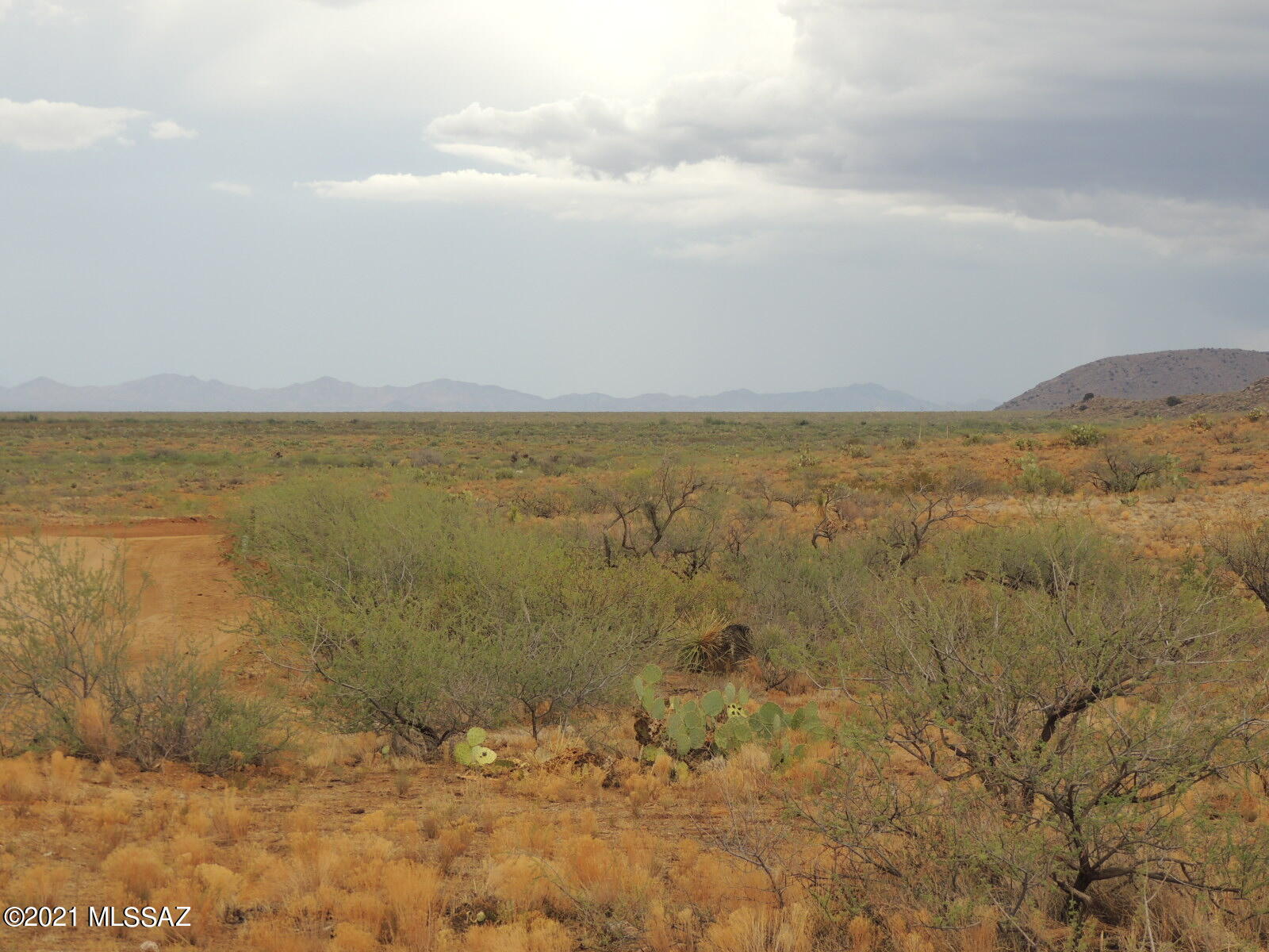 40.82 Acres Mulkins Ranch Road, Unit 11 Bowie, AZ 85605 - Photo 15 of 17