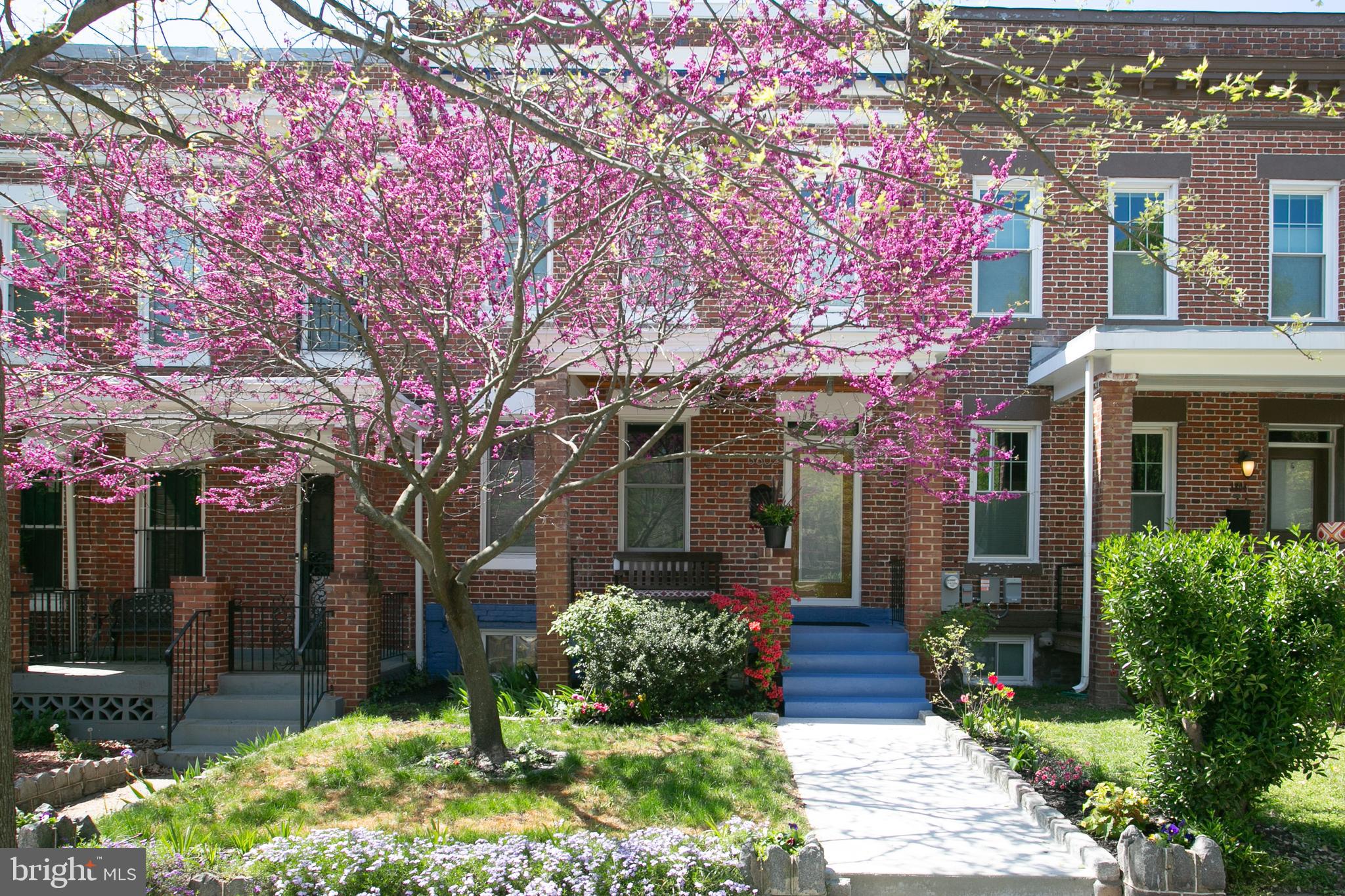 3802 4th Street Northwest Washington, DC 20011 - Photo 2 of 47