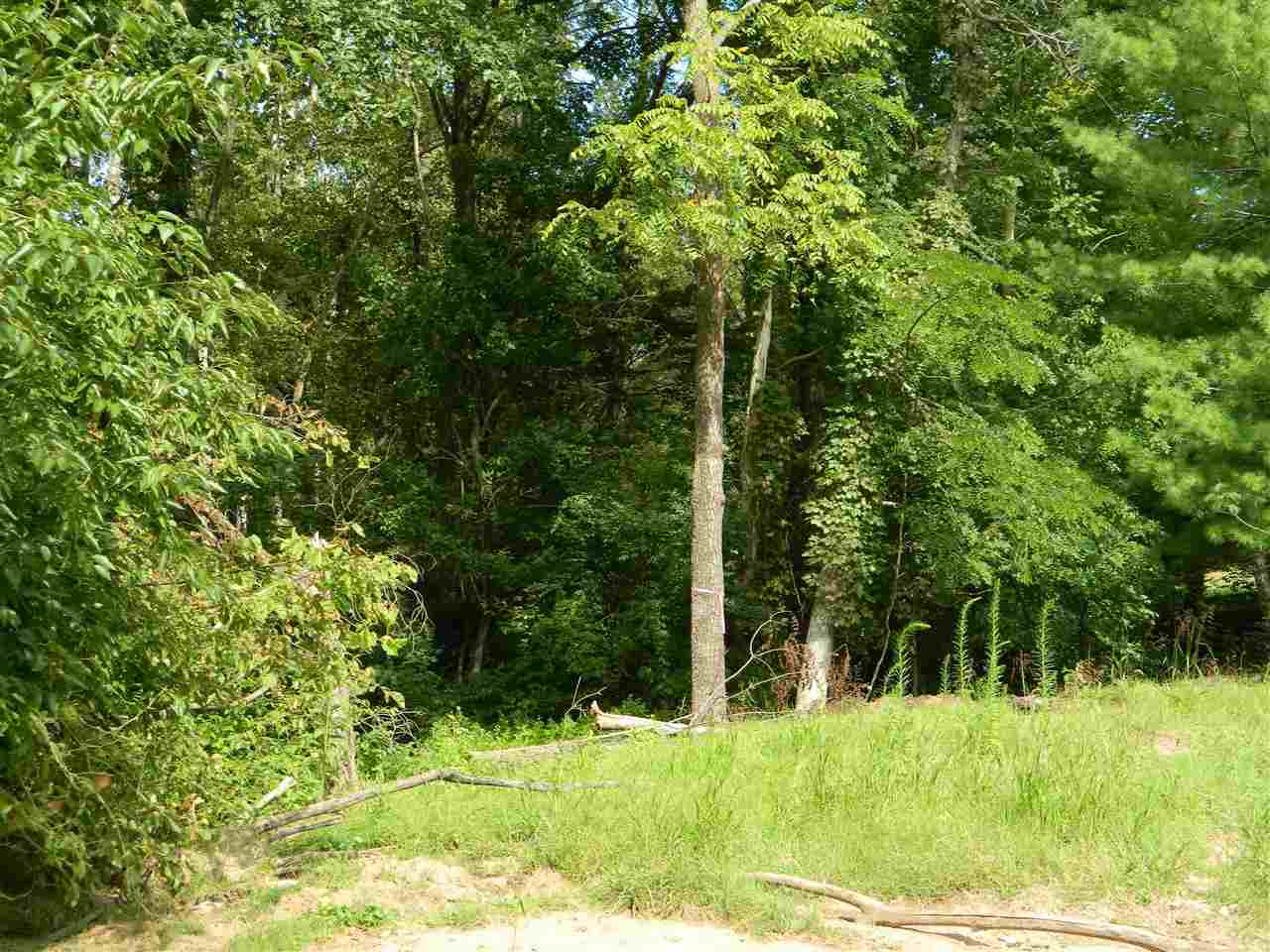 823 South Getty Road Lexington, IN 47138 - Photo 3 of 20 Gallery Image 3