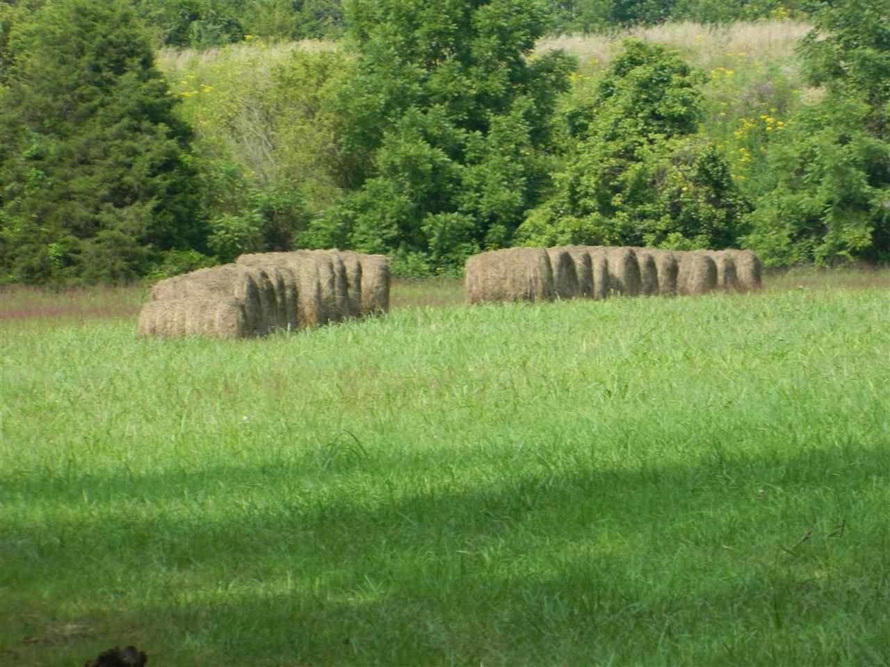 823 South Getty Road Lexington, IN 47138 - Photo 5 of 20 Gallery Image 5