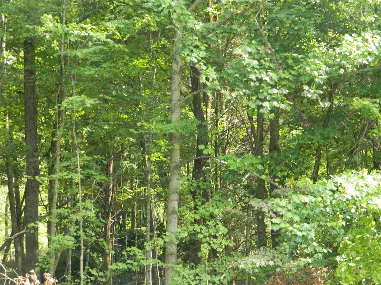 823 South Getty Road Lexington, IN 47138 - Photo 6 of 20 Gallery Image 6