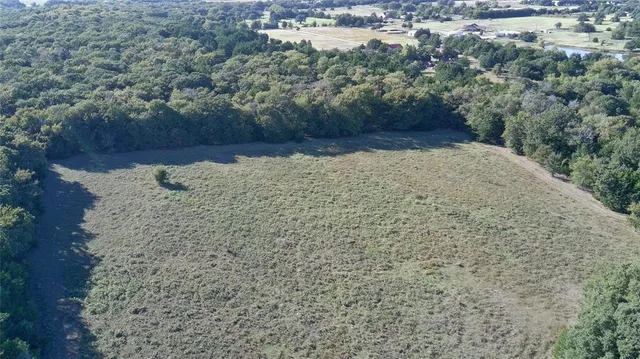 a view of a yard with trees
