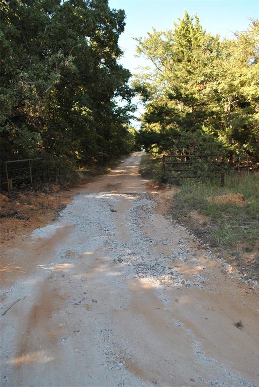 9190 East Fm 922 Valley View Valley View, TX 76272 - Photo 5 of 11 a view of a yard with a tree