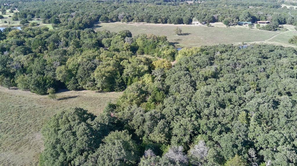 9190 East Fm 922 Valley View Valley View, TX 76272 - Photo 8 of 11 a view of a dry yard with large trees