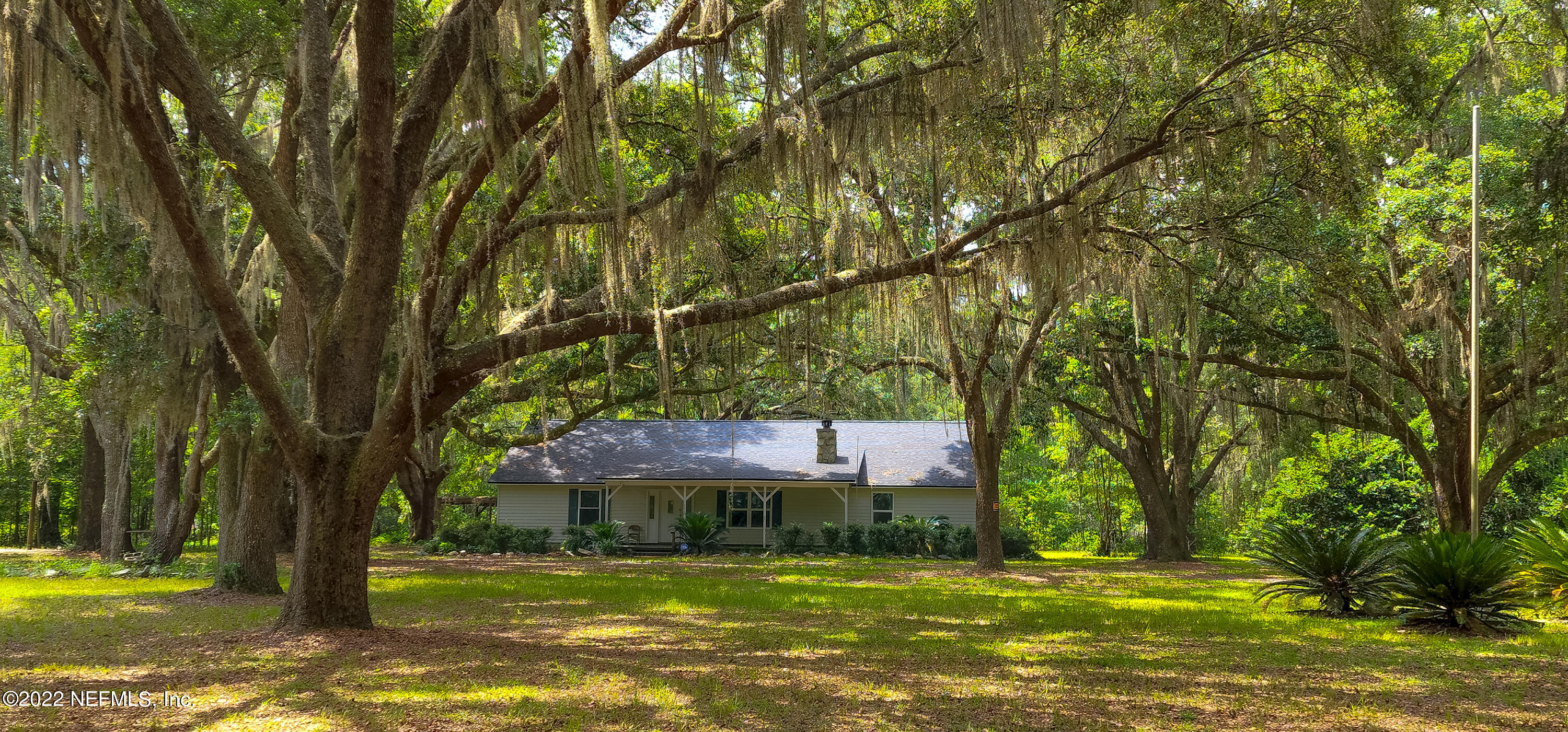 a front view of a house with a yard and a large tree