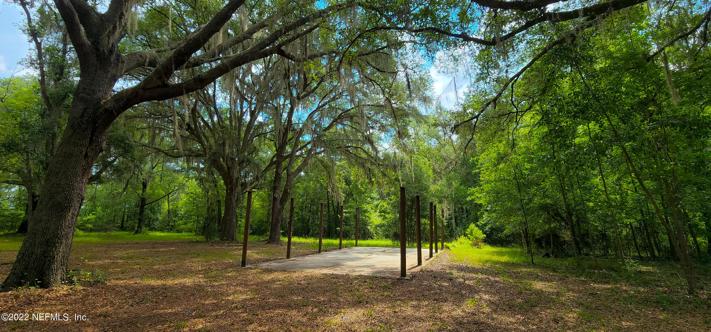 3578 Hamp Hicks Road Bryceville, FL 32009 - Photo 14 of 16 a view of a park with a tree