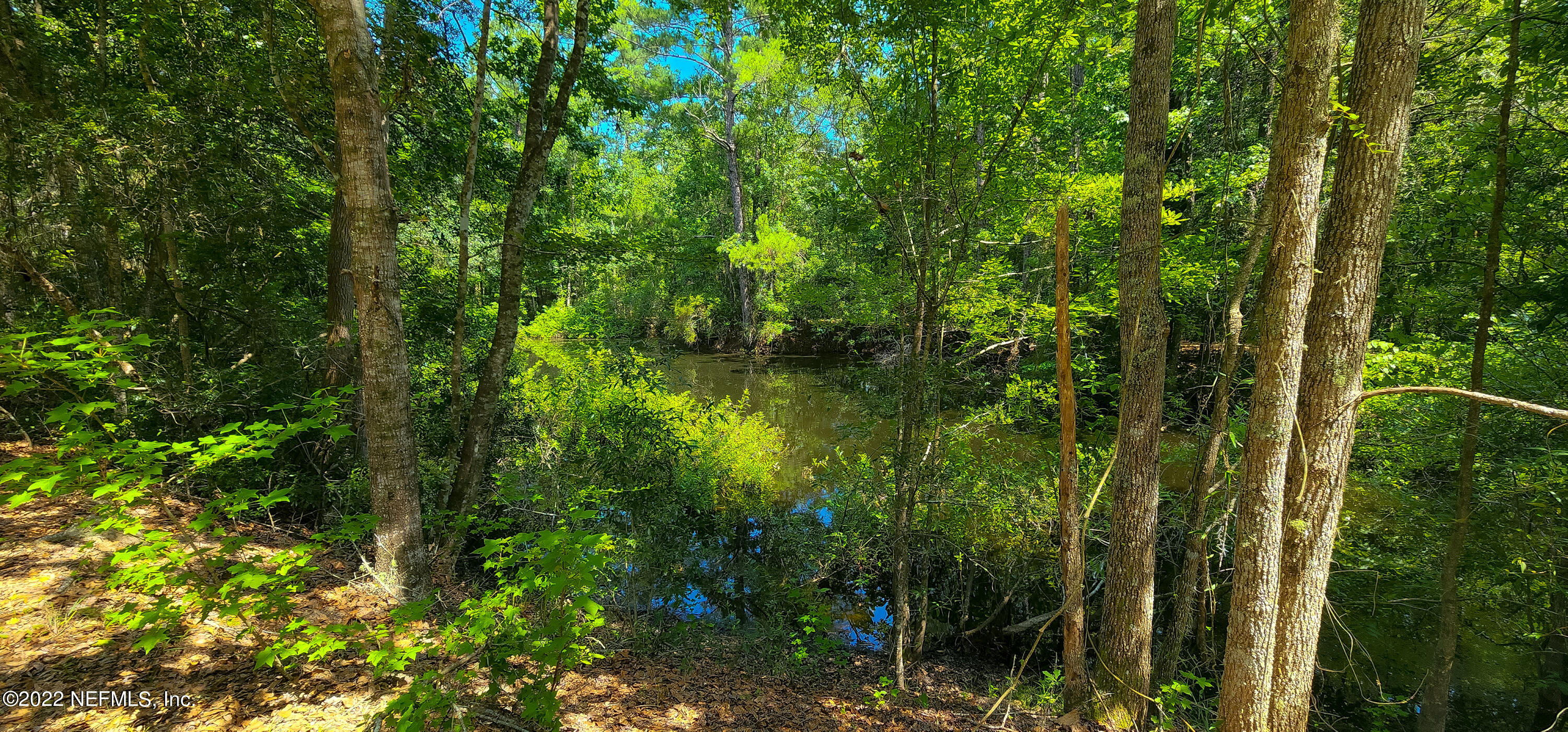 3578 Hamp Hicks Road Bryceville, FL 32009 - Photo 15 of 16 a view of a yard