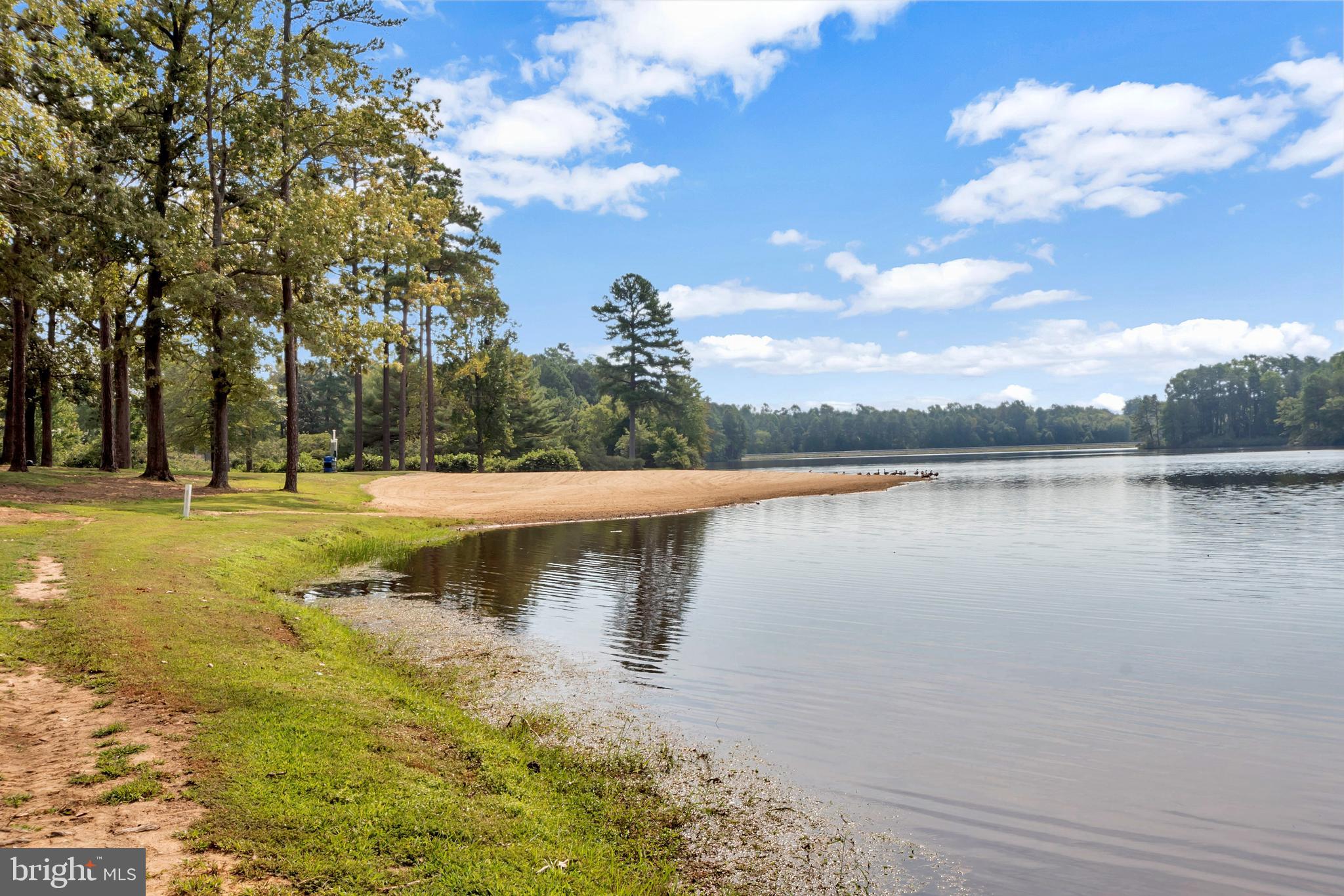 28 Benner Loop Ruther Glen, VA 22546 - Photo 11 of 54 a view of a lake with a big yard