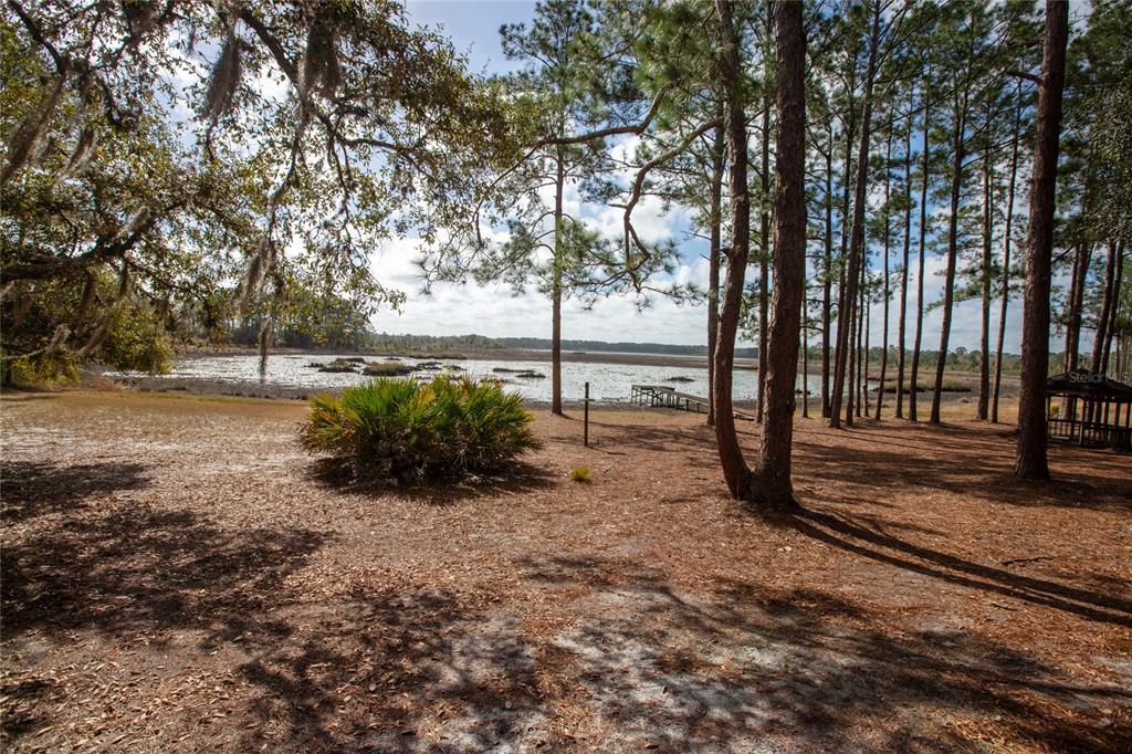 5711 Caribbean Circle Keystone Heights, FL 32656 - Photo 60 of 61 a view of a yard with large trees