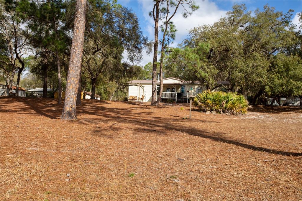 5711 Caribbean Circle Keystone Heights, FL 32656 - Photo 6 of 61 a view of a yard with large tree