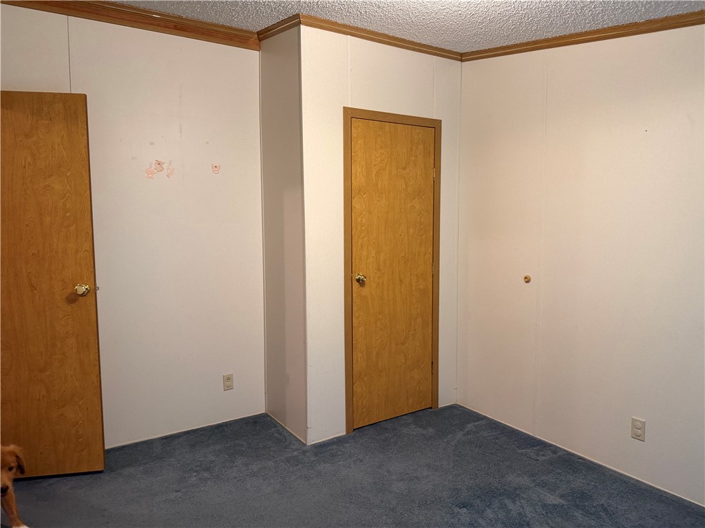 4320 Case Road Bristol, NY 14424 - Photo 27 of 39