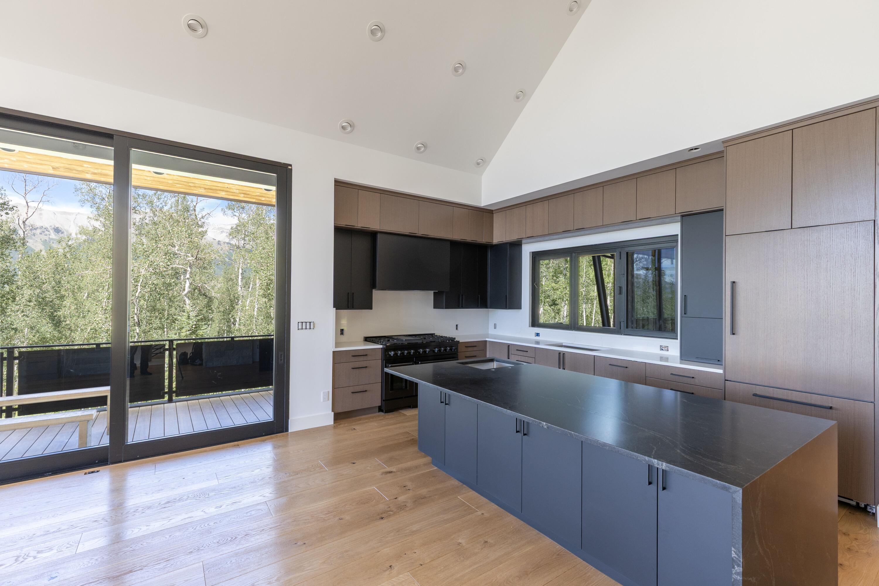 400 Wapiti Road Telluride, CO 81435 - Photo 3 of 11 wapiti--4