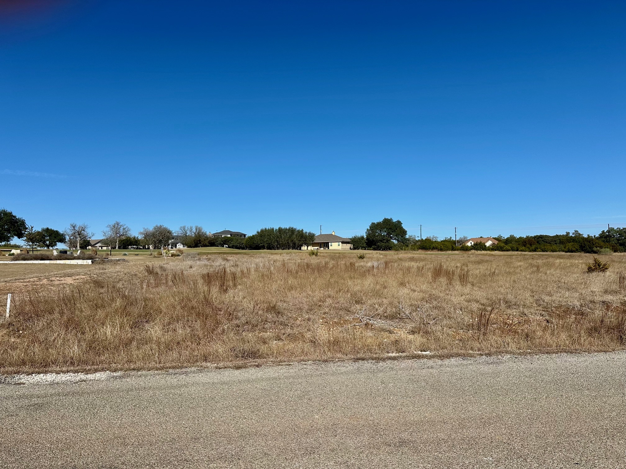 117 Warren Wallace Blanco, TX 78606 - Photo 8 of 20 Lot view from street