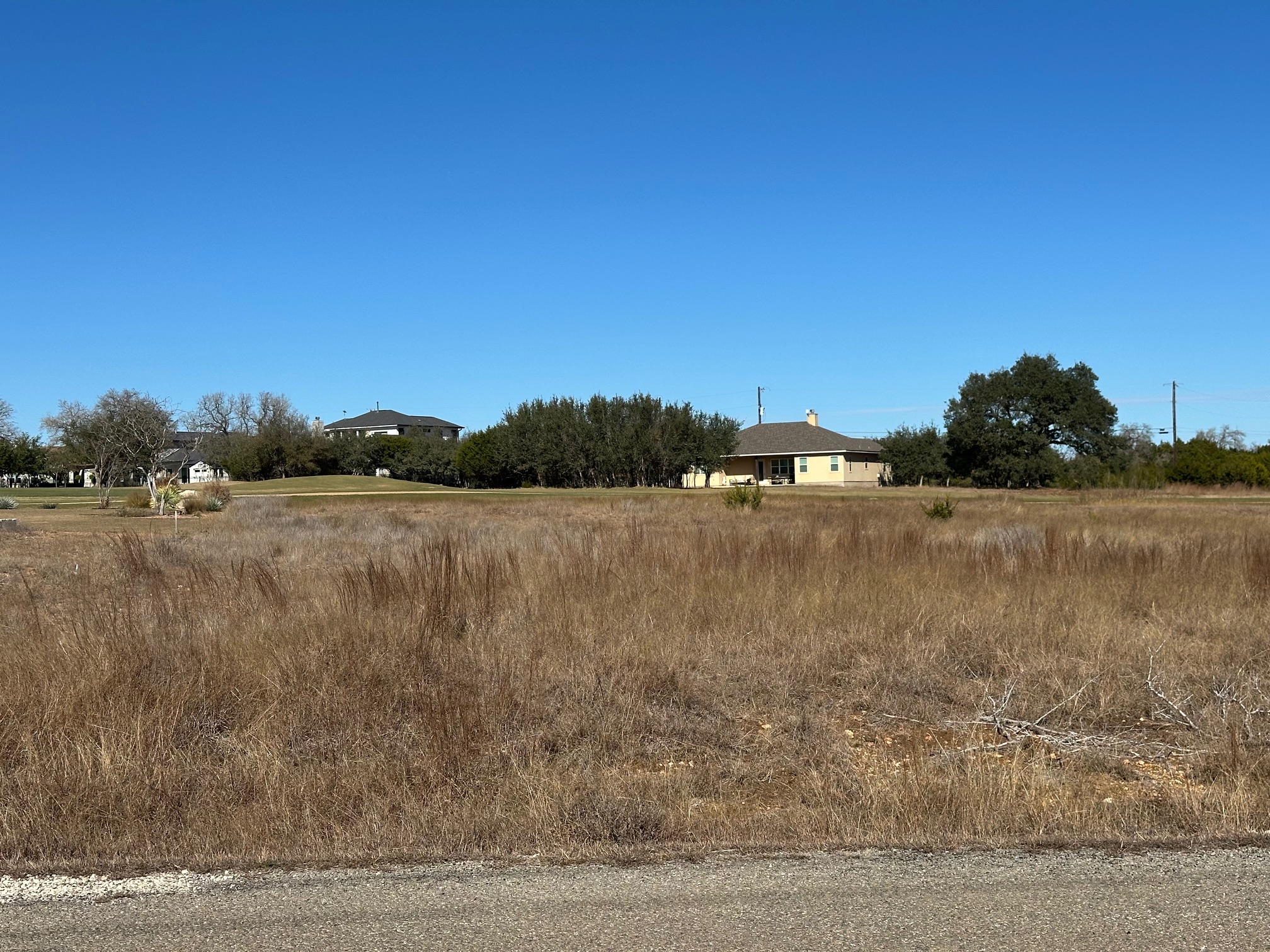 117 Warren Wallace Blanco, TX 78606 - Photo 9 of 20 Lot view from street