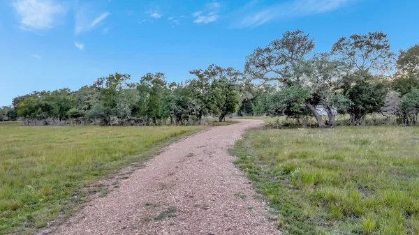 a view of a road with a yard