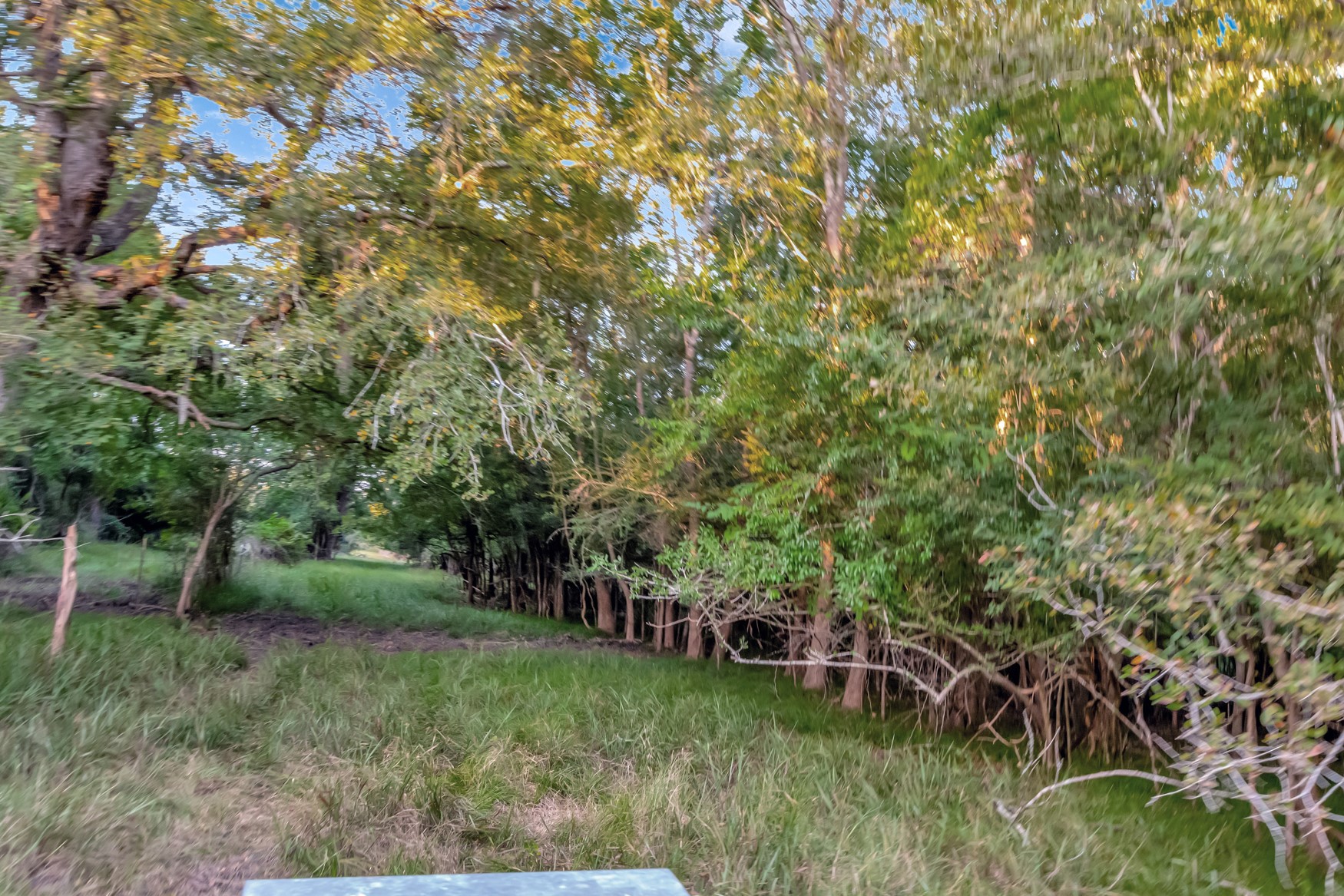 2698 County Road 284 Edna, TX 77957 - Photo 31 of 41 a view of a lush green space