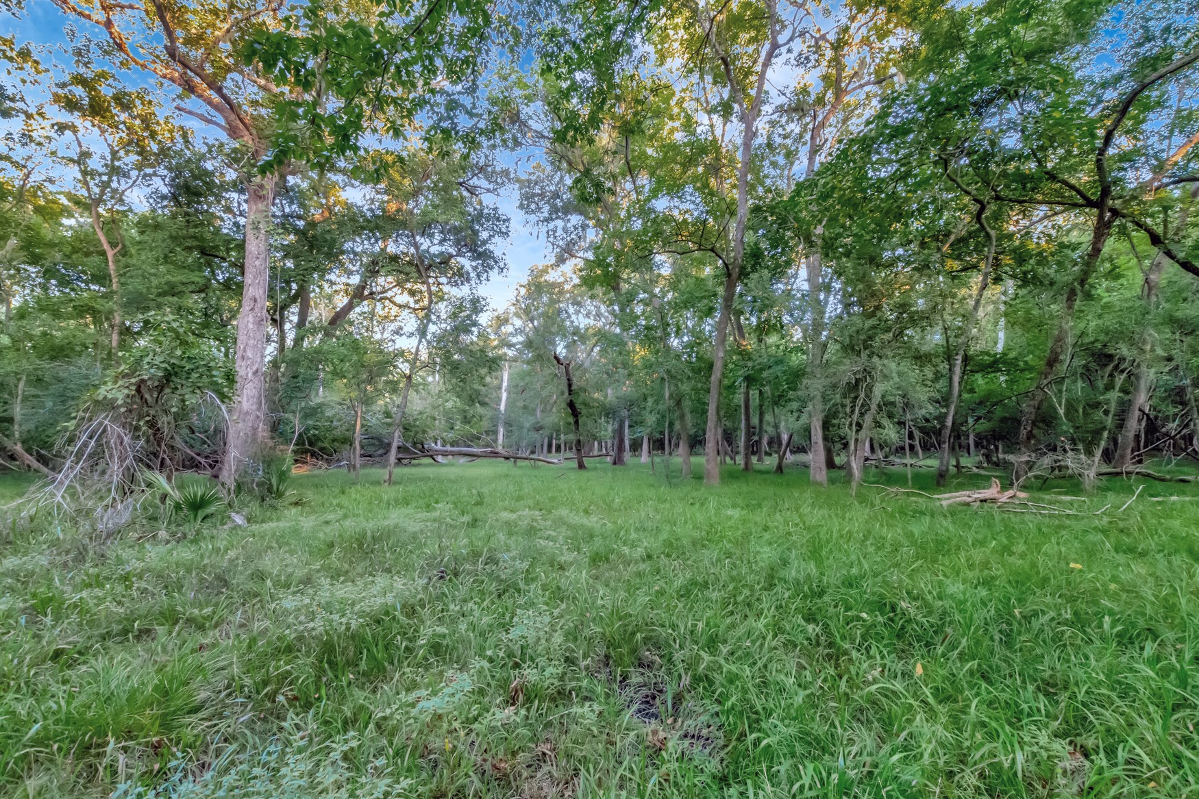 2698 County Road 284 Edna, TX 77957 - Photo 34 of 41 a view of an outdoor space with a lake view