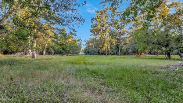 a view of green field with trees in the background