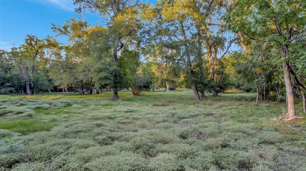 a view of outdoor space with trees all around