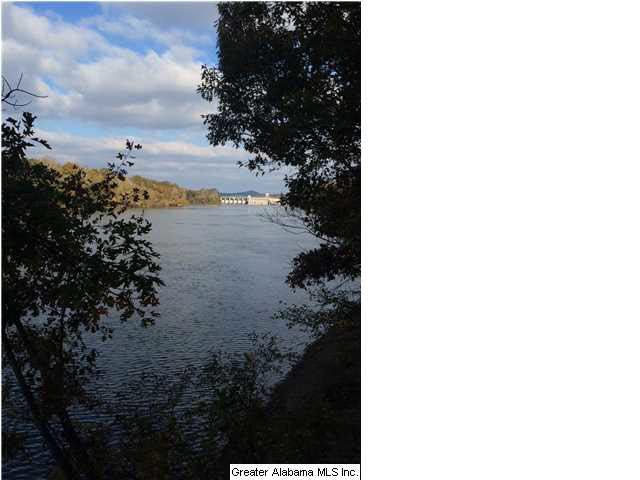 0 Highway 77, Unit 24 AC Ohatchee, AL 36271 - Photo 13 of 13