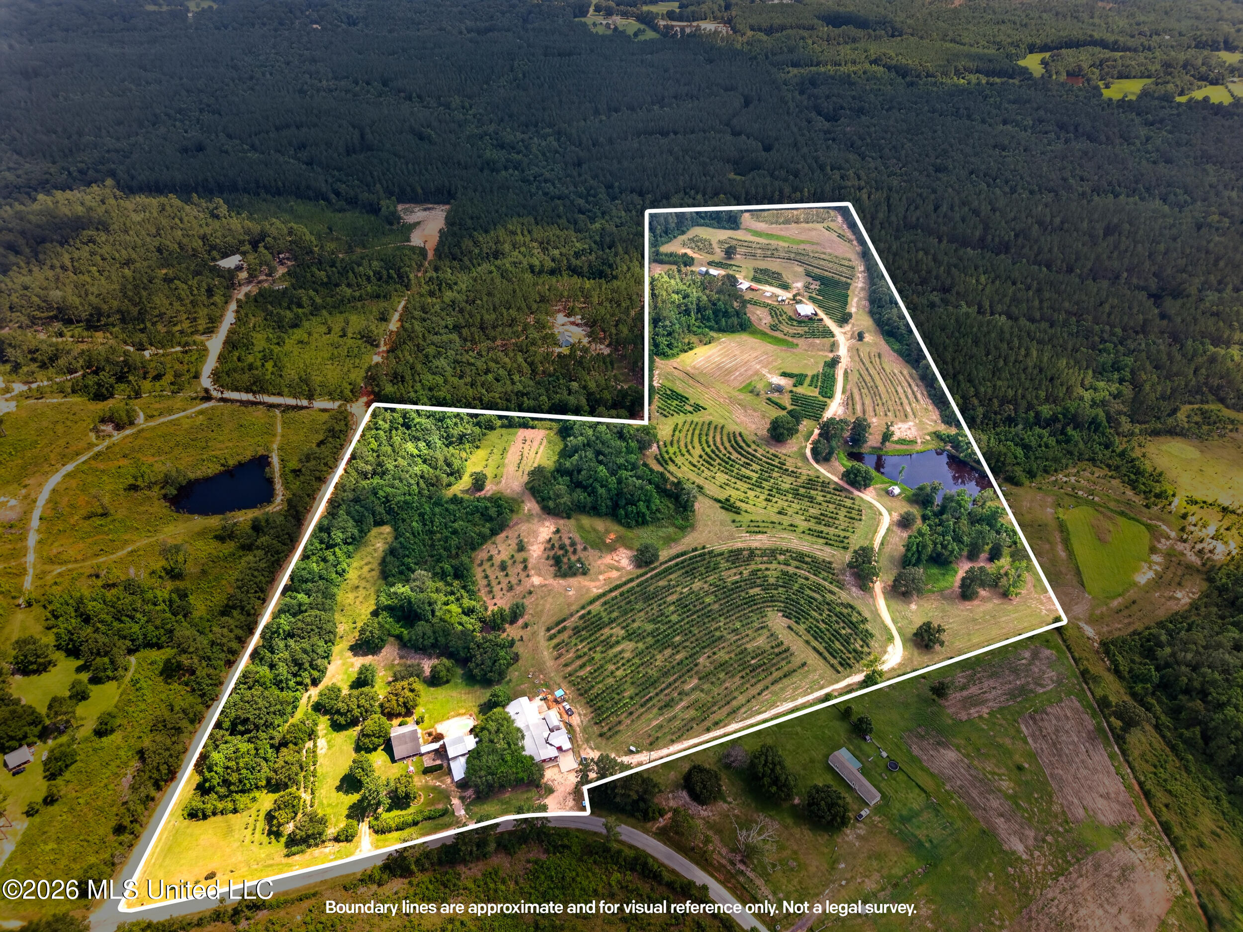574 Slade Woodward Road Poplarville, MS 39470 - Photo 91 of 106 92_property_perspective_boundaries-edit