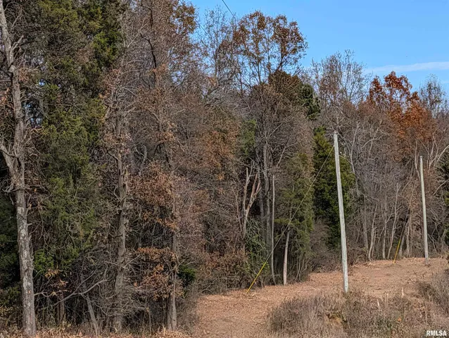 $120,000 | 0 State Highway, Stonefort, IL 62987