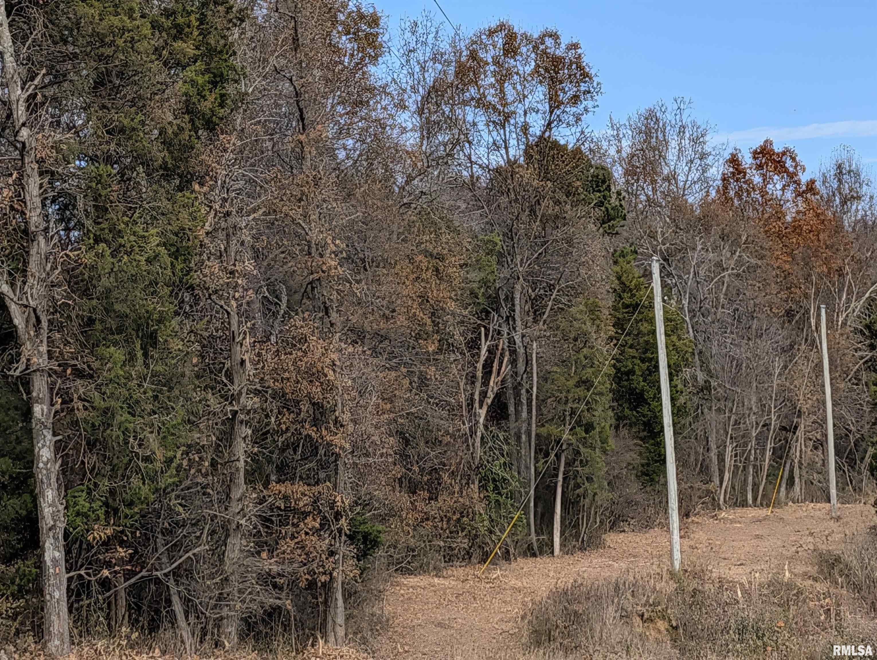 0 State Highway Stonefort, IL 62987 - Photo 2 of 4