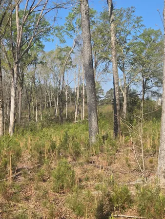 $125,000 | 0 Mercier Road, Lincolnton, GA 30817