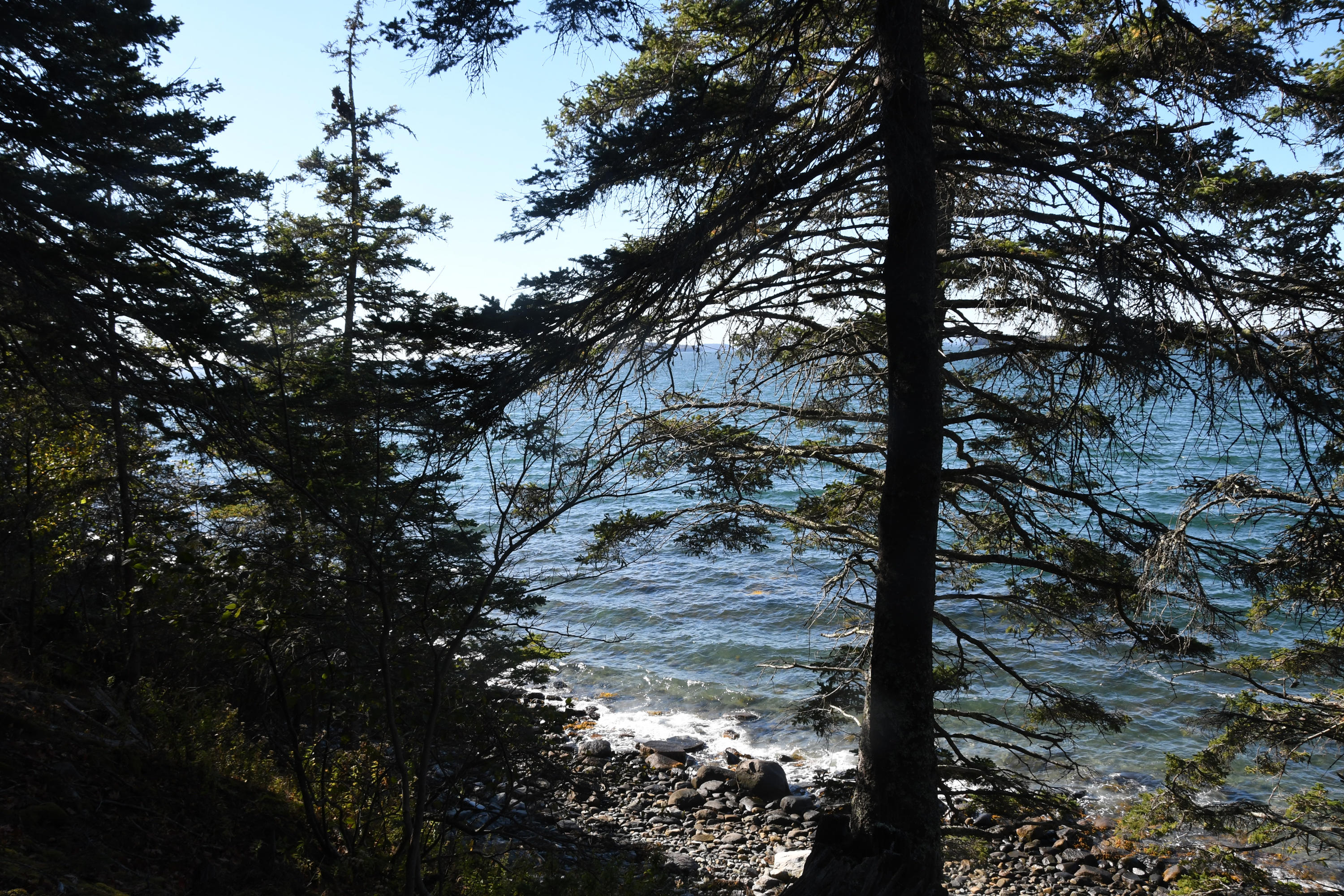 01 North Deer Isle Road Deer Isle, ME 04627 - Photo 25 of 34 20171021_AnneKeck_026