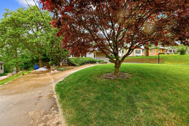 1042 Riedy Road Lisle, IL 60532 - Photo 5 of 29