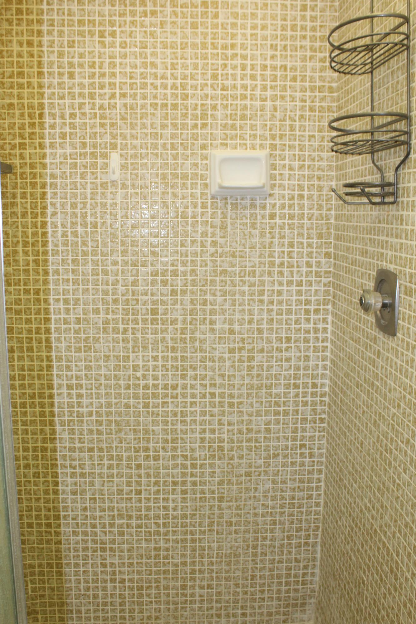 956 Normandy Trail Delray Beach, FL 33484 - Photo 14 of 15 Bathroom 2 Shower