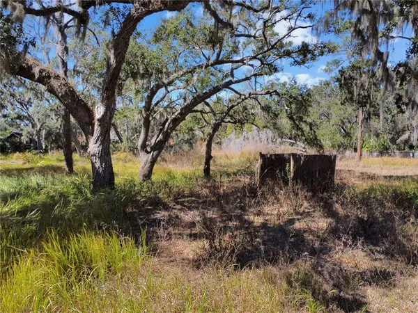 a view of a yard with a tree