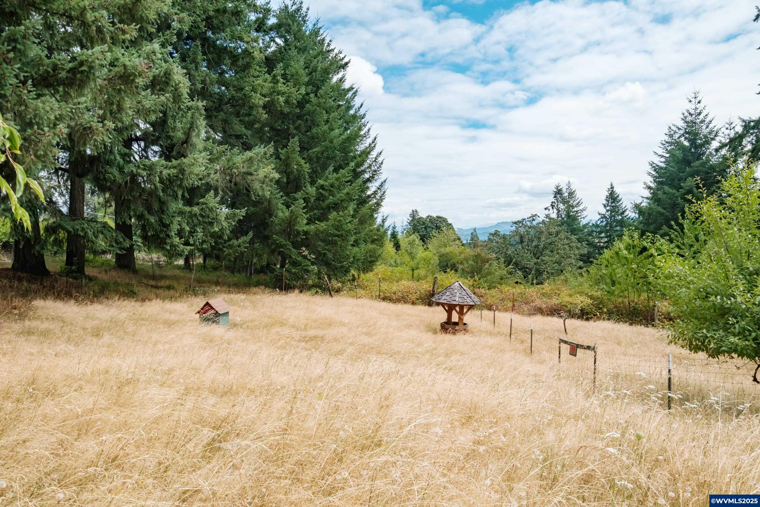 27973 Fern Ridge Road Sweet Home, OR 97386 - Photo 7 of 36 Gallery Image 7