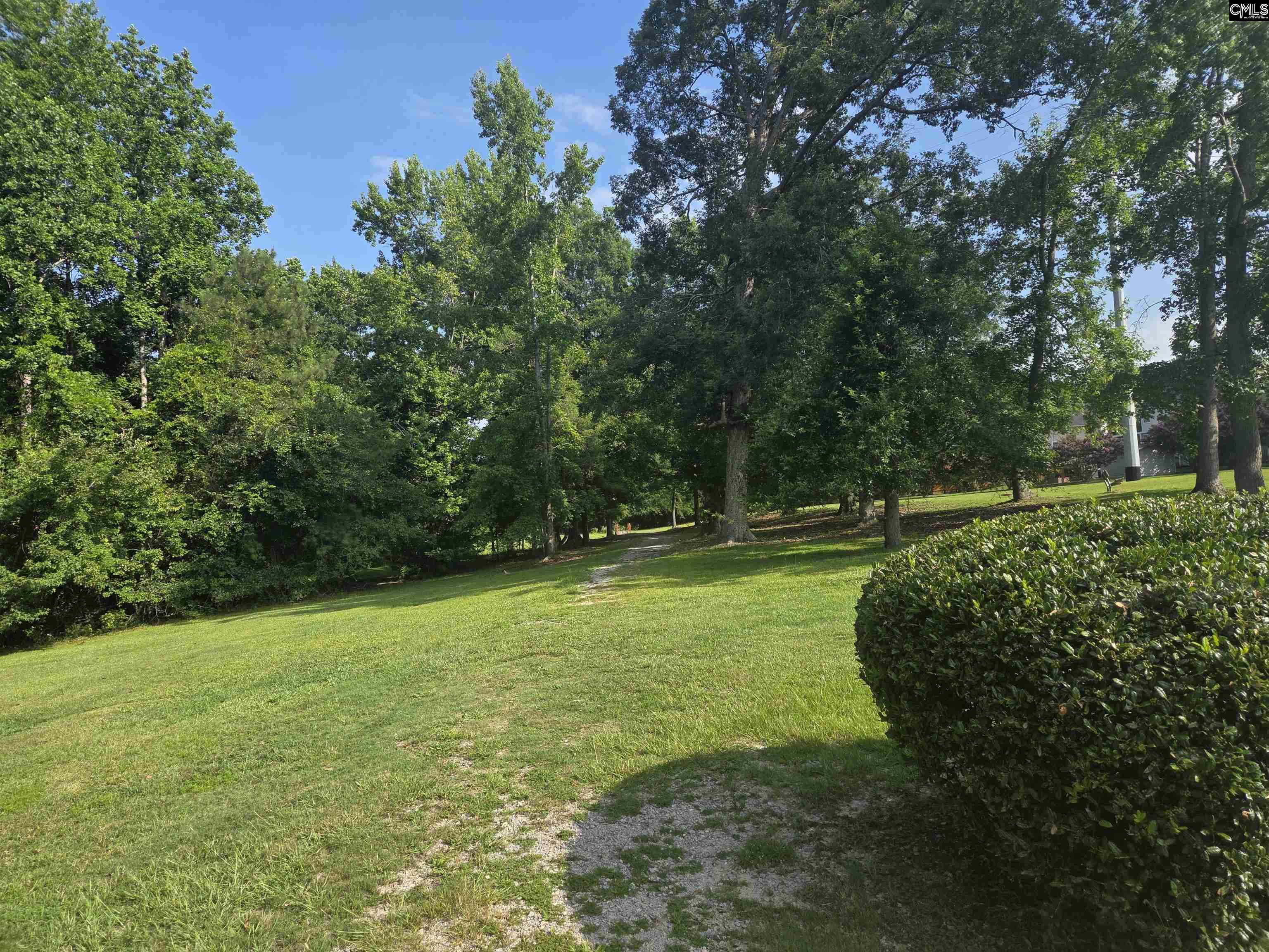 216 Faskin Lane Lexington, SC 29072 - Photo 58 of 60